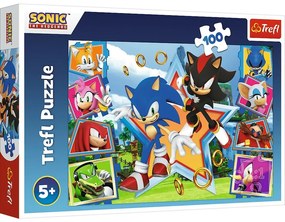 Trefl Puzzle Sonic Poznaj jeża, 100 elem.