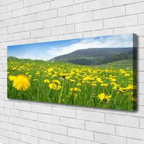 Zdjęcie na płótnie Polny Urok Mniszka