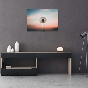 Obraz - Trzymam cię, dmuchawcu (70x50 cm)