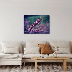 Obraz na szkle - fioletowy kwiat (70x50 cm)