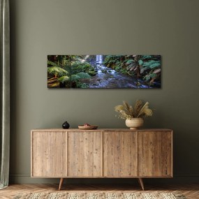 Obraz australijskiego lasu deszczowego (170x50 cm)