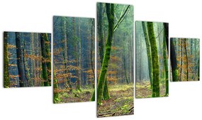 Obraz lasu (125x70 cm)