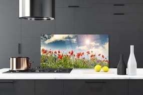 Panel Szklany Letnia Łąka w Blasku Dnia