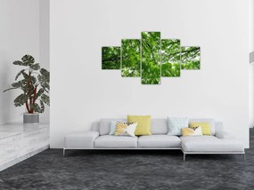 Obraz - Widok do korony drzewa (125x70 cm)