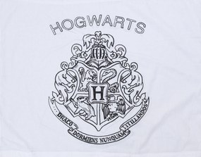 PrzytulneMieszkanie.pl PrzytulneMieszkanie.pl Pościel świecąca HARRY POTTER VISION biała Rozmiar pościeli: 70 x 90 cm | 140 x 200 cm