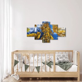 Obraz - Aspen (125x70 cm)
