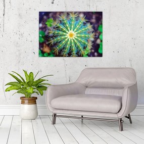 Obraz na szkle - kaktus (70x50 cm)