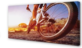 Obraz drukowany na płótnie Rower na Górskim Szlaku