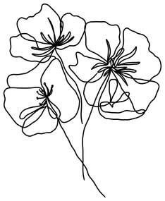 Plakat 29x41 cm Black Poppy – Veronika Boulová