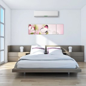 Obraz - Motyl (170x50 cm)