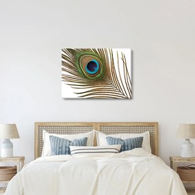 Obraz pawich piór (70x50 cm)