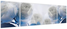 Obraz - Białe róże (170x50 cm)