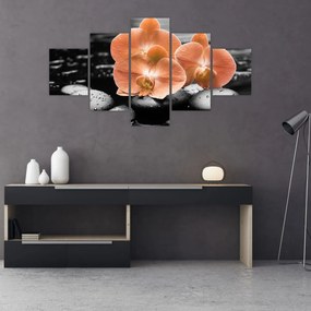 Obraz - Pomarańczowe orchidee (125x70 cm)