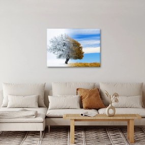 Obraz - Zmiana pór roku (70x50 cm)