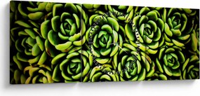 Obraz bez grzywki (z zegarem) (90x30 cm)