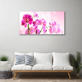 Fotoobraz na płótnie Pastelowa Kompozycja Florystyczna