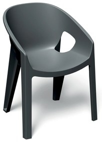 Krzesło ogrodowe z podłokietnikiem Premo Carbon FERNE