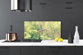 Panel Szklany Surowy Urok Polnej Flory