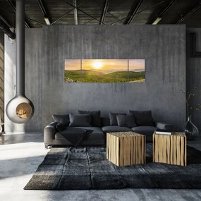 Obraz panoramiczny (170x50 cm)