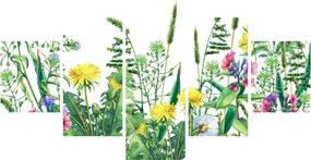 Obraz - Malowane kwiaty łąkowe (125x70 cm)