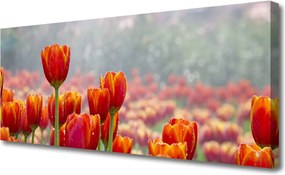 Fotoobraz na płótnie Wiosenny Bukiet Tulipanów