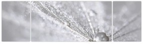 Obraz - Kropla wody (170x50 cm)