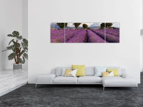 Obraz - Pole lawendy i góry (170x50 cm)