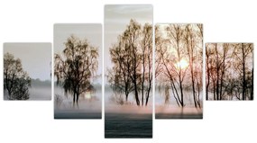 Obraz - Poranna suchość (125x70 cm)