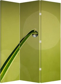 Parawan - Kropla wody na trawie (126x170 cm)