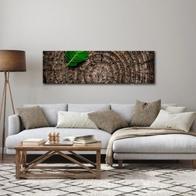 Obraz liścia na pniu drzewa (170x50 cm)