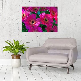 Obraz - kwiaty (70x50 cm)