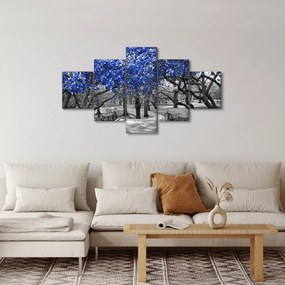 Obraz - Niebieskie drzewa, Central Park, New York (125x70 cm)