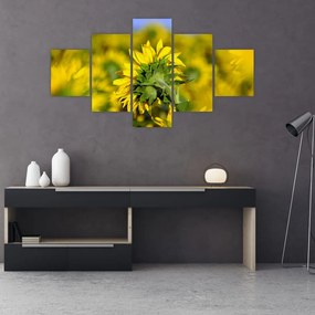 Obraz słonecznika (125x70 cm)