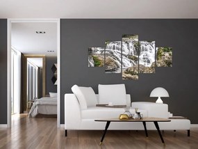 Obraz - Rapids (125x70 cm)