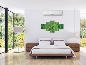 Obraz kropli rosy (125x70 cm)