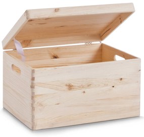 Pojemnik do przechowywania, organizer z pokrywą, 30 l, ZELLER
