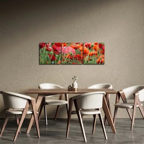 Obraz pola maków (z zegarem) (90x30 cm)