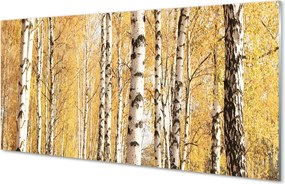 Panel szklany do Kuchni Barwy Jesiennego Lasu