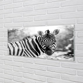Panel szklany do Kuchni Zebra w Stylu Retro