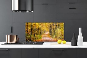 Panel Szklany Spacer Przez Słoneczny Las