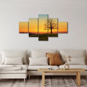 Obraz drzewa na polu (125x70 cm)