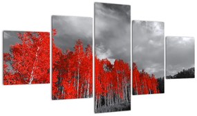 Obraz - Drzewa w kolorze jesieni (125x70 cm)