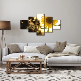 Obraz słonecznika (125x70 cm)