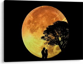 Obraz cieni w świetle księżyca (70x50 cm)