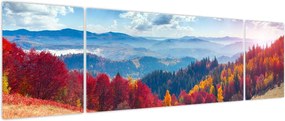 Obraz kolorowego jesiennego krajobrazu (170x50 cm)