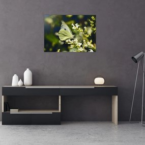 Obraz na szkle motyla (70x50 cm)