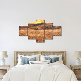 Obraz pola (125x70 cm)