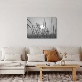 Obraz na szkle - Łąka o zachodzie słońca (70x50 cm)