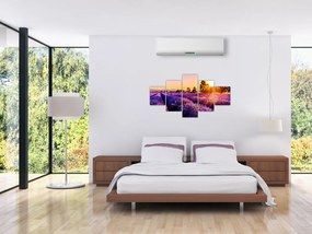 Obraz lawendowego pola (125x70 cm)