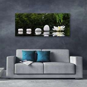 Zdjęcie na płótnie Lilia Wodna na Jeziorze